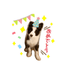 ノアくん★（個別スタンプ：21）