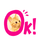 トトが可愛すぎて(仔猫編)（個別スタンプ：5）