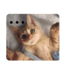 トトが可愛すぎて(仔猫編)（個別スタンプ：9）
