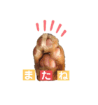 トトが可愛すぎて(仔猫編)（個別スタンプ：11）