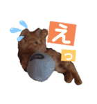 トトが可愛すぎて(仔猫編)（個別スタンプ：13）