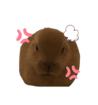 かわよいウサスター（個別スタンプ：1）