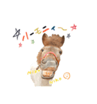 ハーモニィセンター①（個別スタンプ：1）