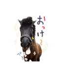 ハーモニィセンター①（個別スタンプ：8）