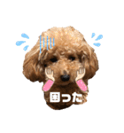 あーる＆じじの日常（個別スタンプ：4）