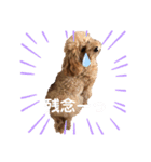 あーる＆じじの日常（個別スタンプ：7）