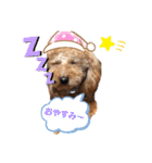 あーる＆じじの日常（個別スタンプ：10）