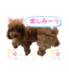 あーる＆じじの日常（個別スタンプ：11）