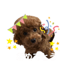 あーる＆じじの日常（個別スタンプ：14）