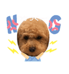 あーる＆じじの日常（個別スタンプ：16）