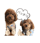 あーる＆じじの日常（個別スタンプ：19）