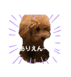 あーる＆じじの日常（個別スタンプ：21）