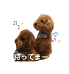 あーる＆じじの日常（個別スタンプ：22）