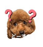 あーる＆じじの日常（個別スタンプ：23）