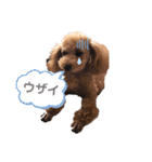 あーる＆じじの日常（個別スタンプ：30）