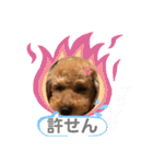 あーる＆じじの日常（個別スタンプ：33）