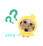 あーる＆じじの日常（個別スタンプ：35）