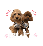 あーる＆じじの日常（個別スタンプ：36）