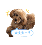 あーる＆じじの日常（個別スタンプ：37）