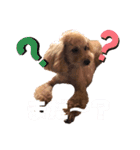 あーる＆じじの日常（個別スタンプ：38）
