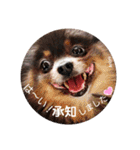 アンジュ＆茶太（個別スタンプ：13）