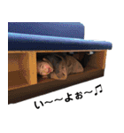 やいちろう君のおもしろスタンプ3（個別スタンプ：19）