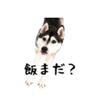 はっちゃん9ちゃんスタンプ（個別スタンプ：6）