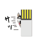 はっちゃん9ちゃんスタンプ（個別スタンプ：15）