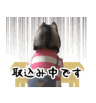はっちゃん9ちゃんスタンプ（個別スタンプ：23）