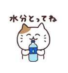 夏だ！もれねこスタンプ（個別スタンプ：13）