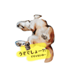 オレは茶々丸2（個別スタンプ：15）