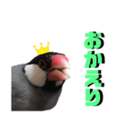 文鳥ズ【まとめ】（個別スタンプ：4）