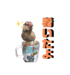 文鳥ズ【まとめ】（個別スタンプ：7）