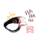 文鳥ズ【まとめ】（個別スタンプ：10）