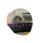 はなちゃんだよー（個別スタンプ：1）