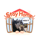 挨拶 ペット（個別スタンプ：4）