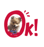 挨拶 ペット（個別スタンプ：7）