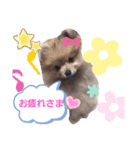 挨拶 ペット（個別スタンプ：8）