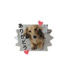 #ぎん。スタンプ（個別スタンプ：3）