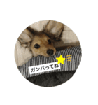 #ぎん。スタンプ（個別スタンプ：8）