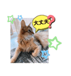 kiki7.5（個別スタンプ：12）
