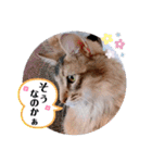 kiki7.5（個別スタンプ：13）