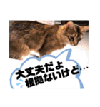kiki7.5（個別スタンプ：26）