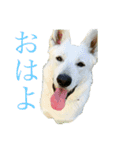 くーたろとぴーすけ（個別スタンプ：1）