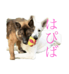 くーたろとぴーすけ（個別スタンプ：7）