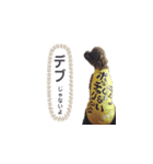 nikoだよ！スタンプ（個別スタンプ：3）