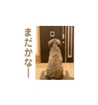nikoだよ！スタンプ（個別スタンプ：8）