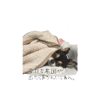 ふらちゃんスタンプ！！（個別スタンプ：7）