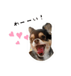 ふらちゃんスタンプ！！（個別スタンプ：10）