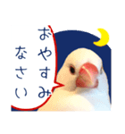 文鳥の挨拶（個別スタンプ：2）